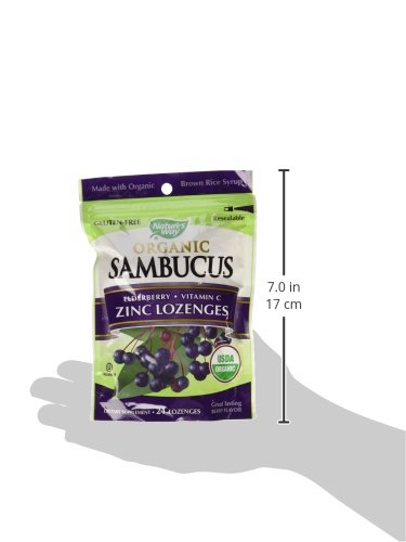 Nature's Way, Sambucus Organic Zinc Lozenges, Berry Flavor ...